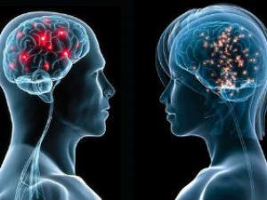 دراسة: مخ المرأة أصغر من الرجل ولكنه أكثر كفائة