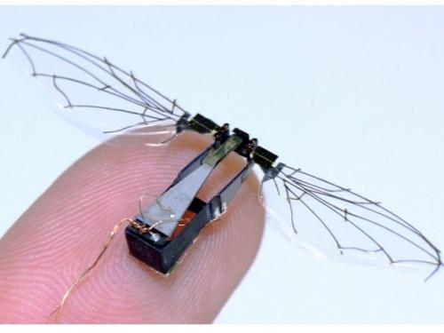 باحثون بالجيش اﻷمريكي يطوروا حشرات صناعية للتجسس قادرة علي العمل لـ100 عام 