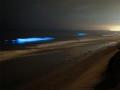 جزر المالديف كائنات مجهرية تضئ الشواطئ ليلاً