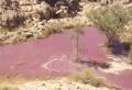  العثور على بحيرة من الخمور في صحراء السعودية