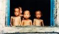 كوريا الشمالية : المجاعة تدفع بعض اﻷهالي لقتل أطفالهم وأكل لحومهم 