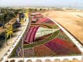 السعودية: سجادة من الزهور مكونة من أكثر 1.5 مليون زهرة