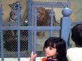 السعودية : شاب يسعي لإنشاء أكبر حديقة حيوانات خاصة في  بلاده