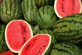 دراسة: البطيخ يقلل من ارتفاع ضغط الدم ويقي من أمراض القلب