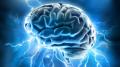 دراسة : المخ البشري تتراجع كفائه عند العقد الرابع