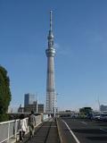 شجرة سماء اليابان أعلى برج إذاعي في العالم